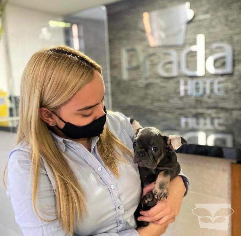 Hotel Prada Sas เบลโญ ภายนอก รูปภาพ